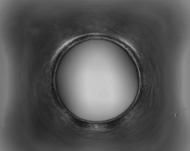 X0000086771311200704130827