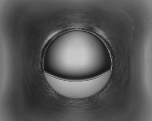 X0000086771312200704130828