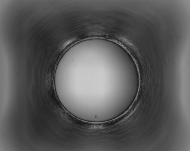 X0000086771313200704130828