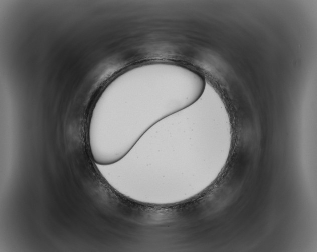 X0000086771314200704130828