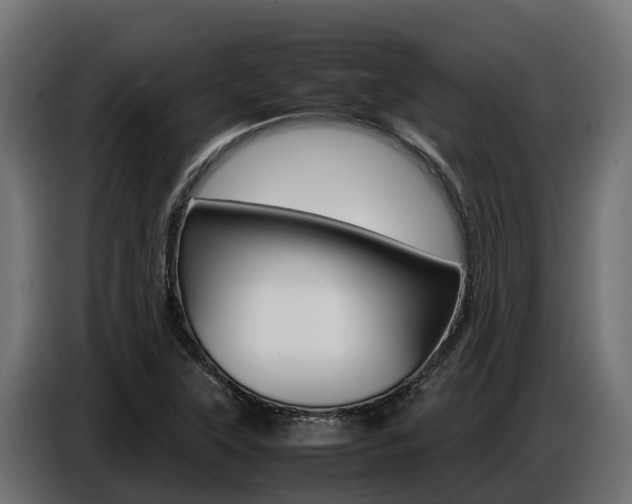X0000086771315200704130828