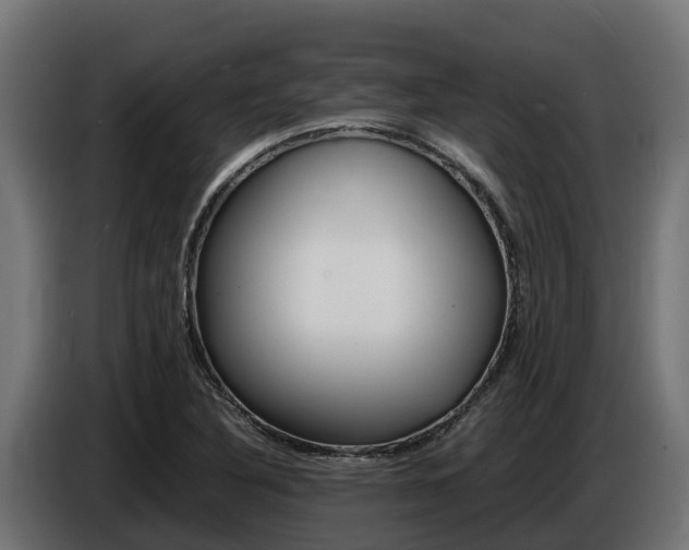 X0000086771316200704130828