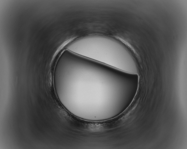 X0000086771317200704130828