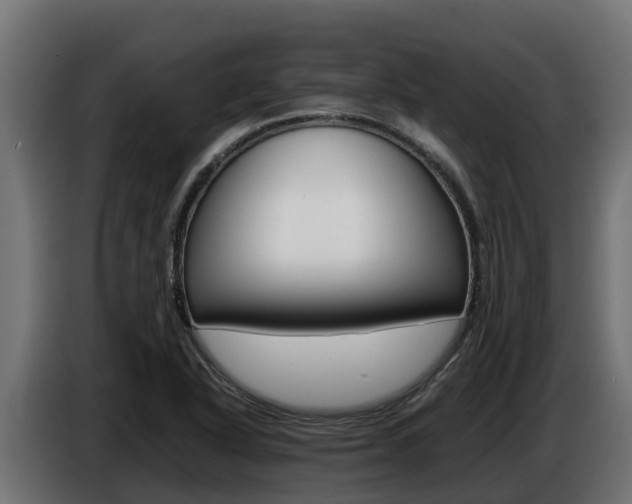 X0000086771318200704130828