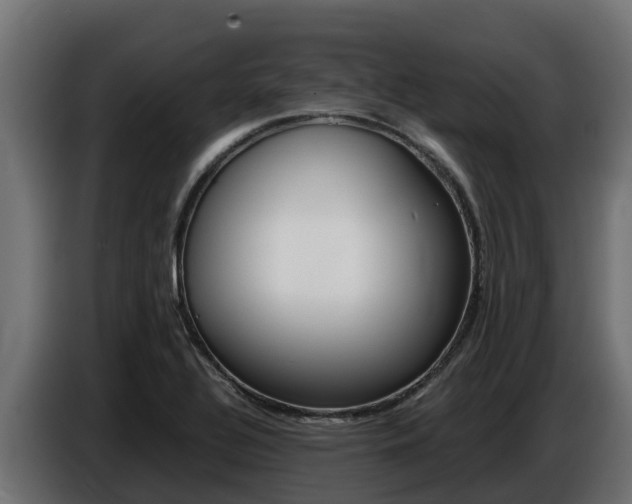 X0000086771320200704130828