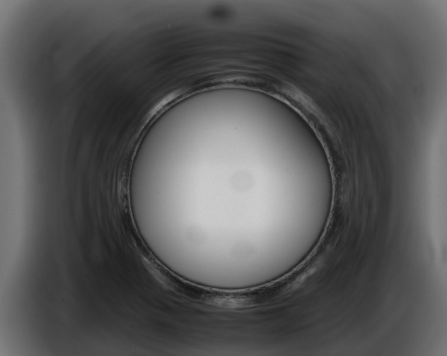 X0000086771321200704130828