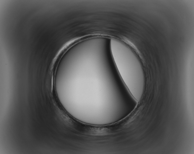 X0000086771323200704130828