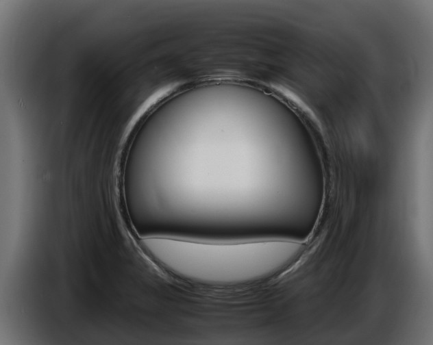 X0000086771325200704130828