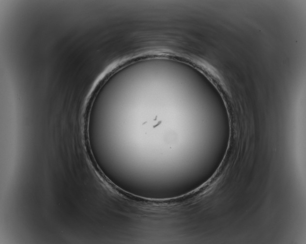 X0000086771326200704130828