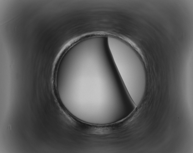 X0000086771327200704130828