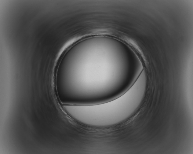 X0000086771328200704130828