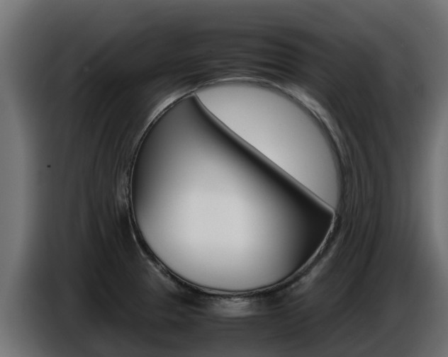 X0000086771329200704130828