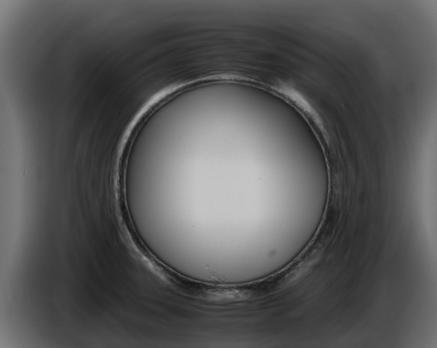 X0000086771331200704130828