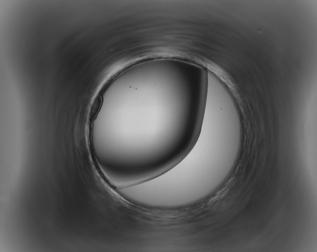 X0000086771334200704130828