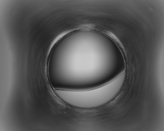 X0000086771336200704130828