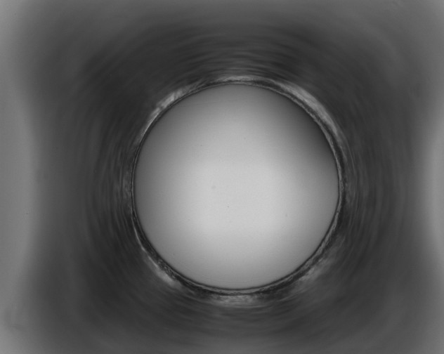 X0000086771337200704130828