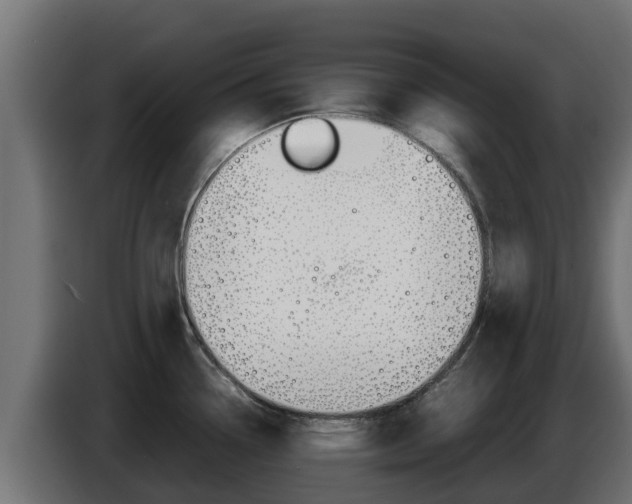 X0000086771338200704130828