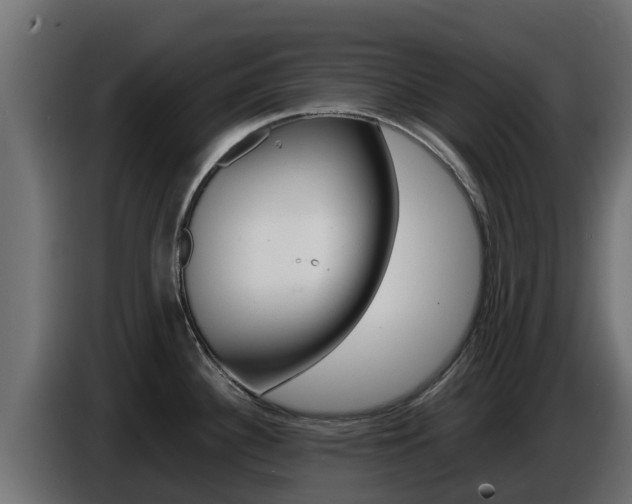 X0000086771340200704130828