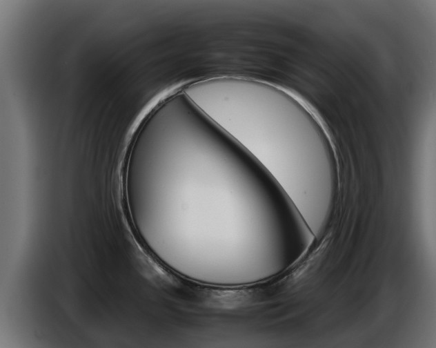 X0000086771341200704130828