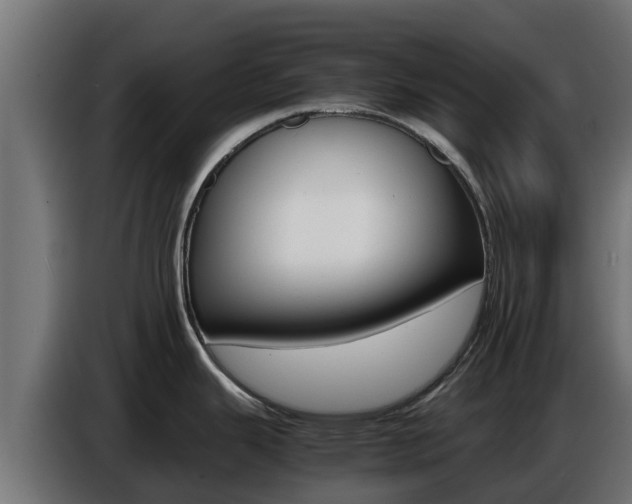 X0000086771343200704130828