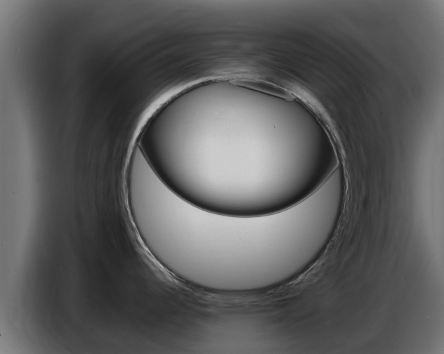 X0000086771344200704130828