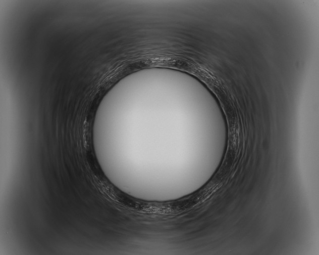 X0000086771346200704130827