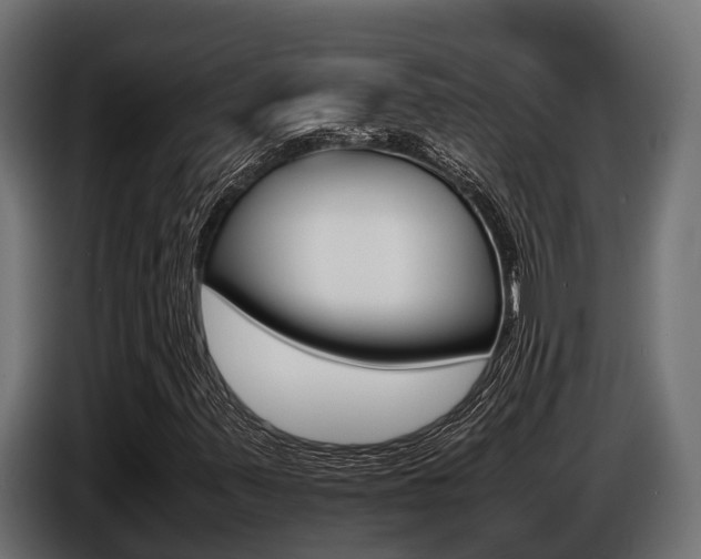 X0000086771347200704130827