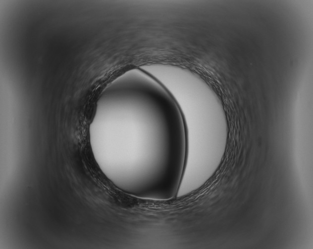 X0000086771349200704130827