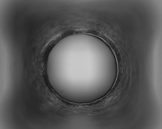 X0000086771351200704130827