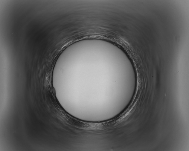 X0000086771353200704130827
