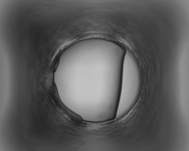 X0000086771357200704130827