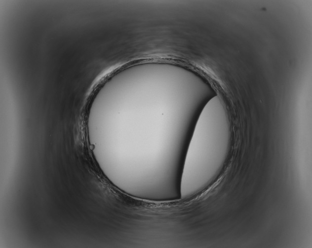 X0000086771358200704130827