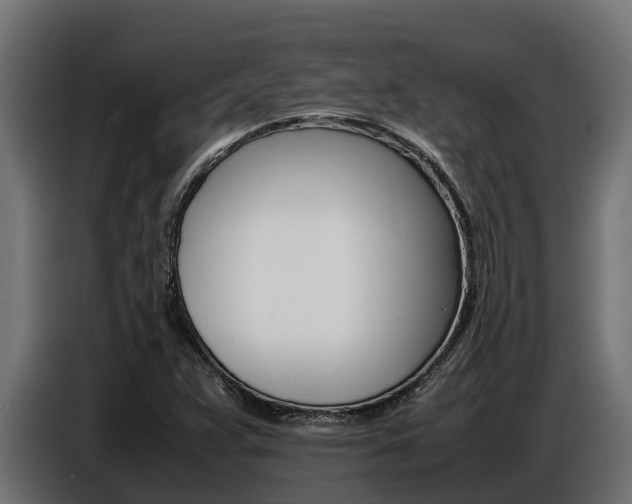 X0000086771359200704130827