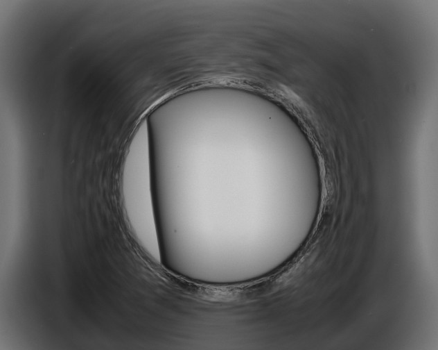 X0000086771361200704130827