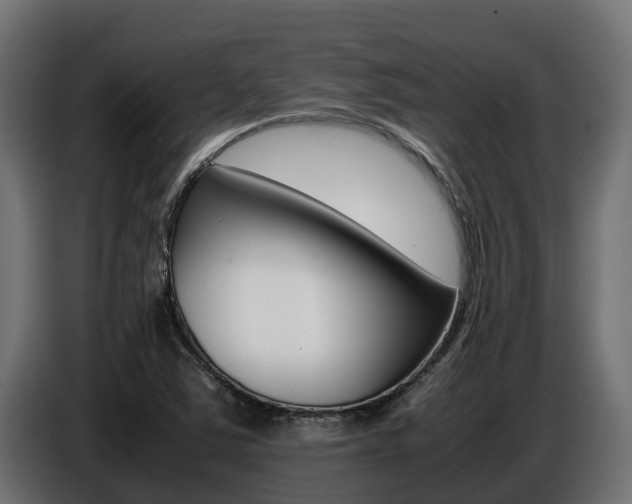 X0000086771363200704130827