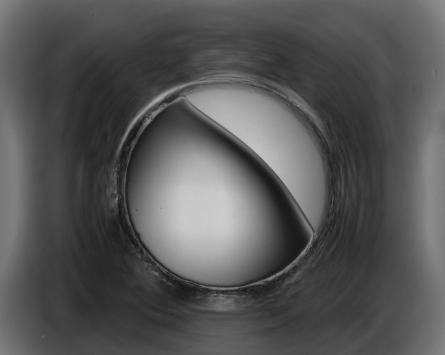 X0000086771364200704130827