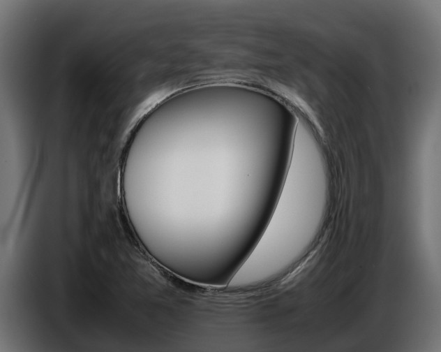 X0000086771365200704130827