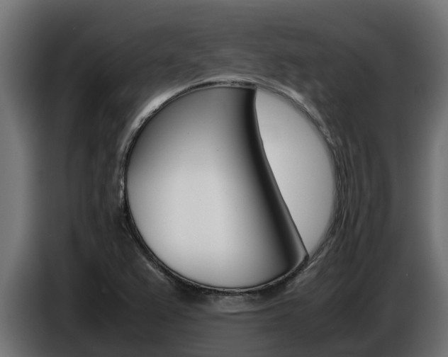 X0000086771367200704130827