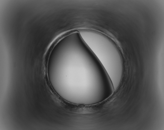 X0000086771368200704130827
