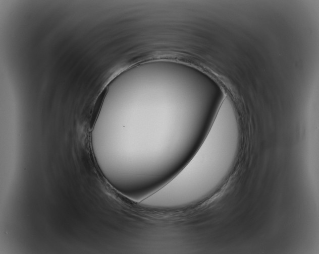 X0000086771369200704130827