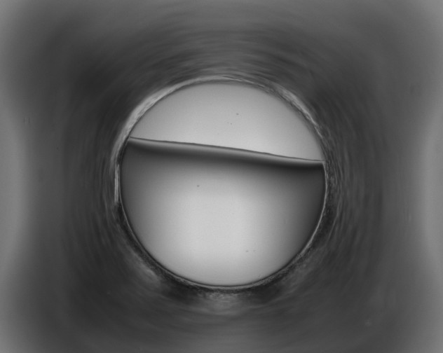 X0000086771371200704130827