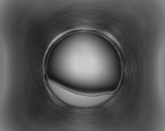 X0000086771372200704130827