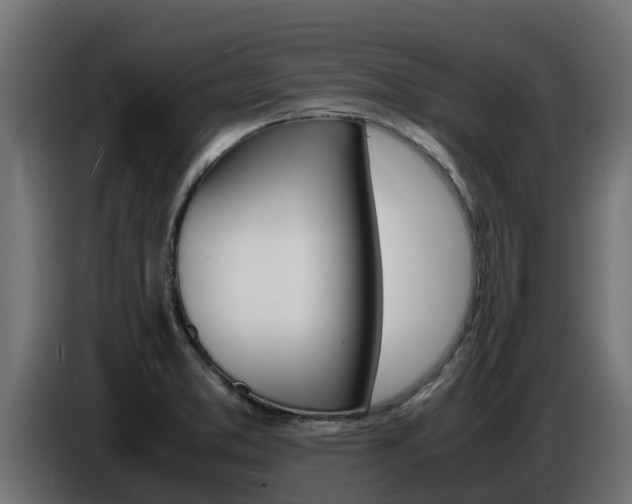 X0000086771373200704130827