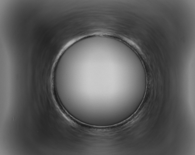 X0000086771375200704130827