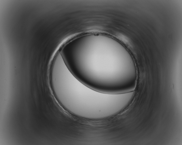 X0000086771376200704130827