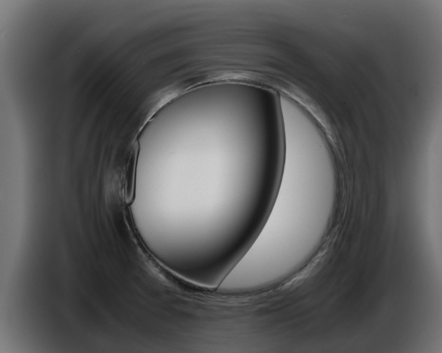 X0000086771377200704130827