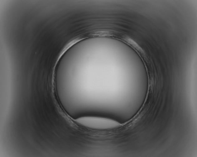X0000086771378200704130827