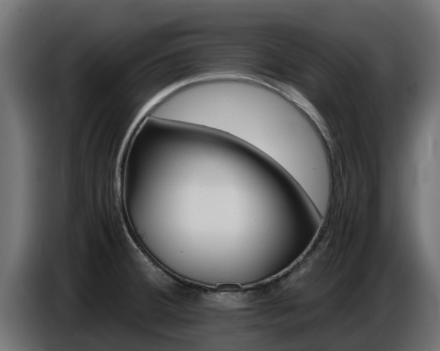 X0000086771380200704130827