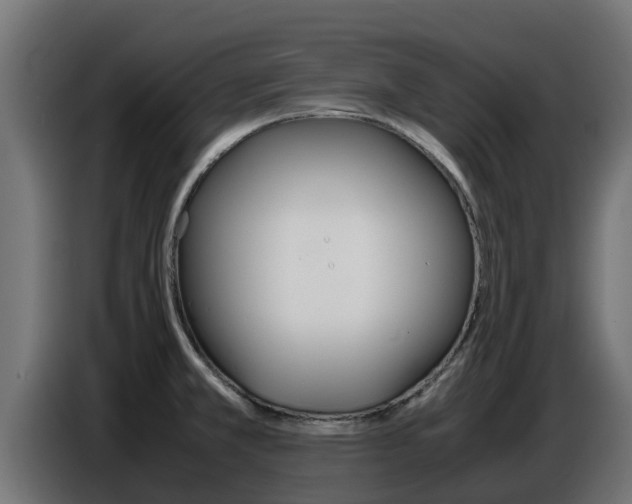 X0000086771381200704130827