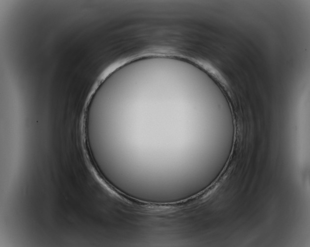 X0000086771382200704130827